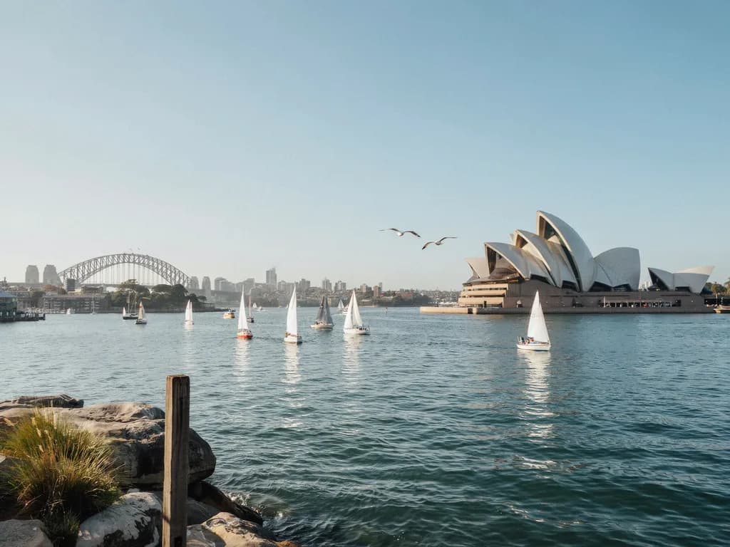 Sydney - Opera i zatoka w słońcu