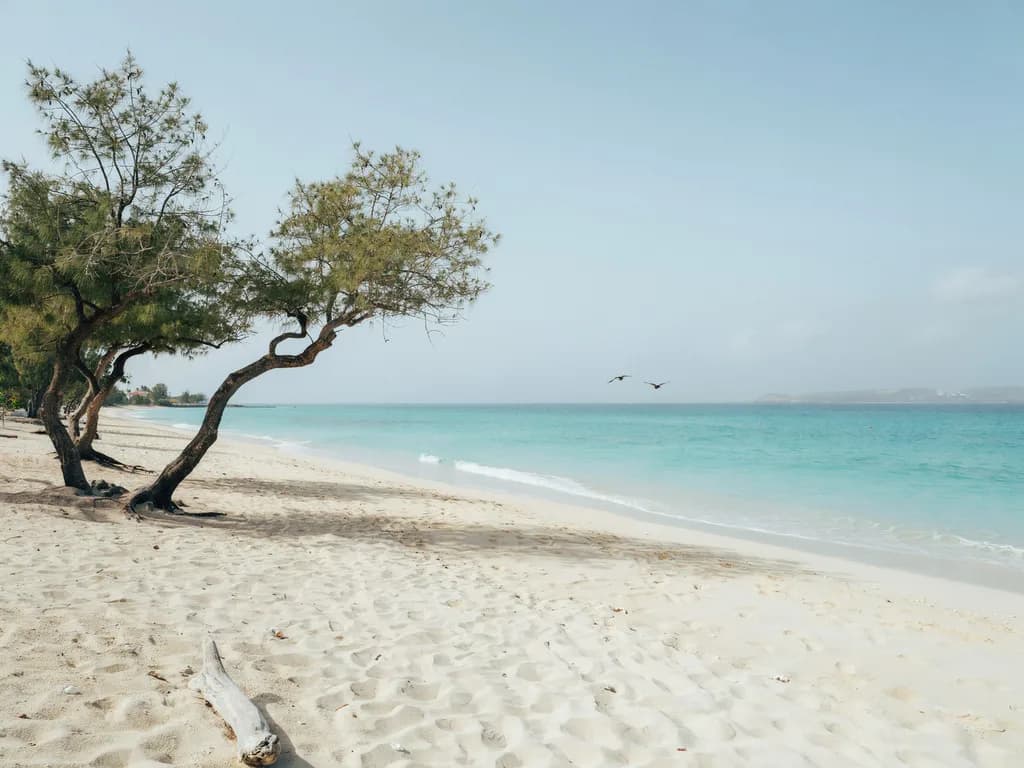 Aruba - plaża Eagle Beach i turkusowe Morze Karaibskie