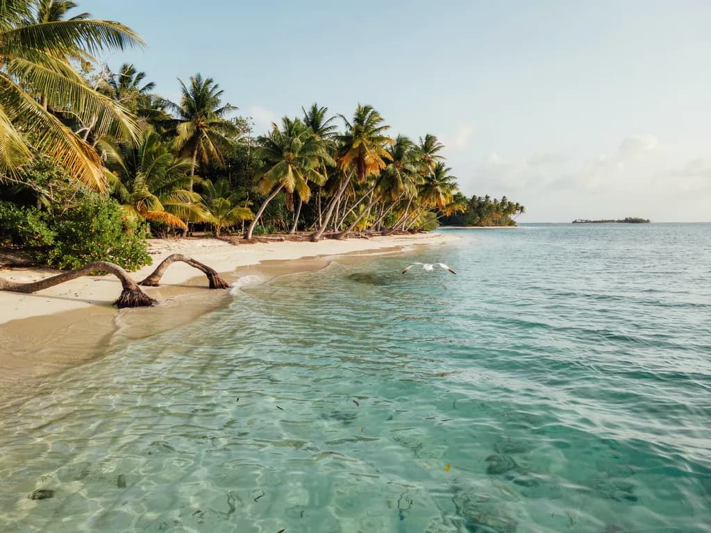 Belize - rafa koralowa i wysepka z palmami