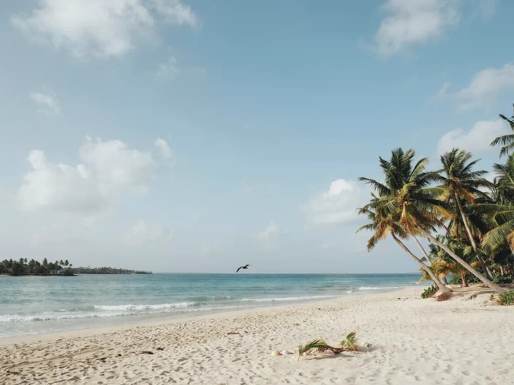 Punta Cana - palmy nad turkusowym Morzem Karaibskim