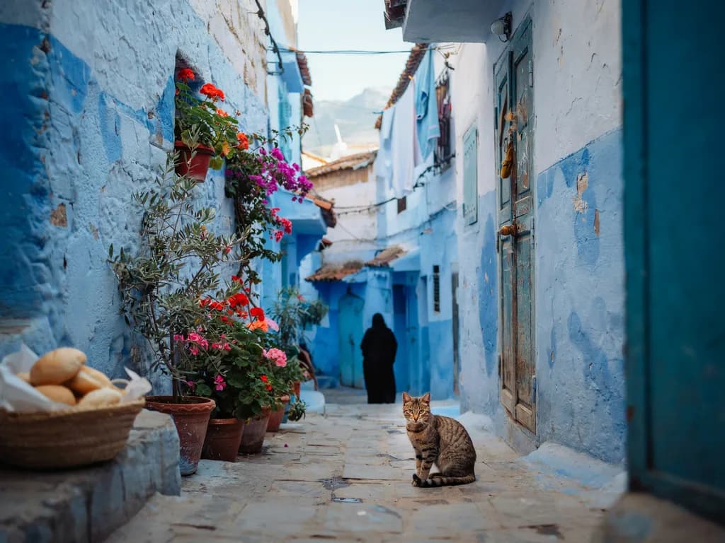 Afryka — medyna w Marrakeszu