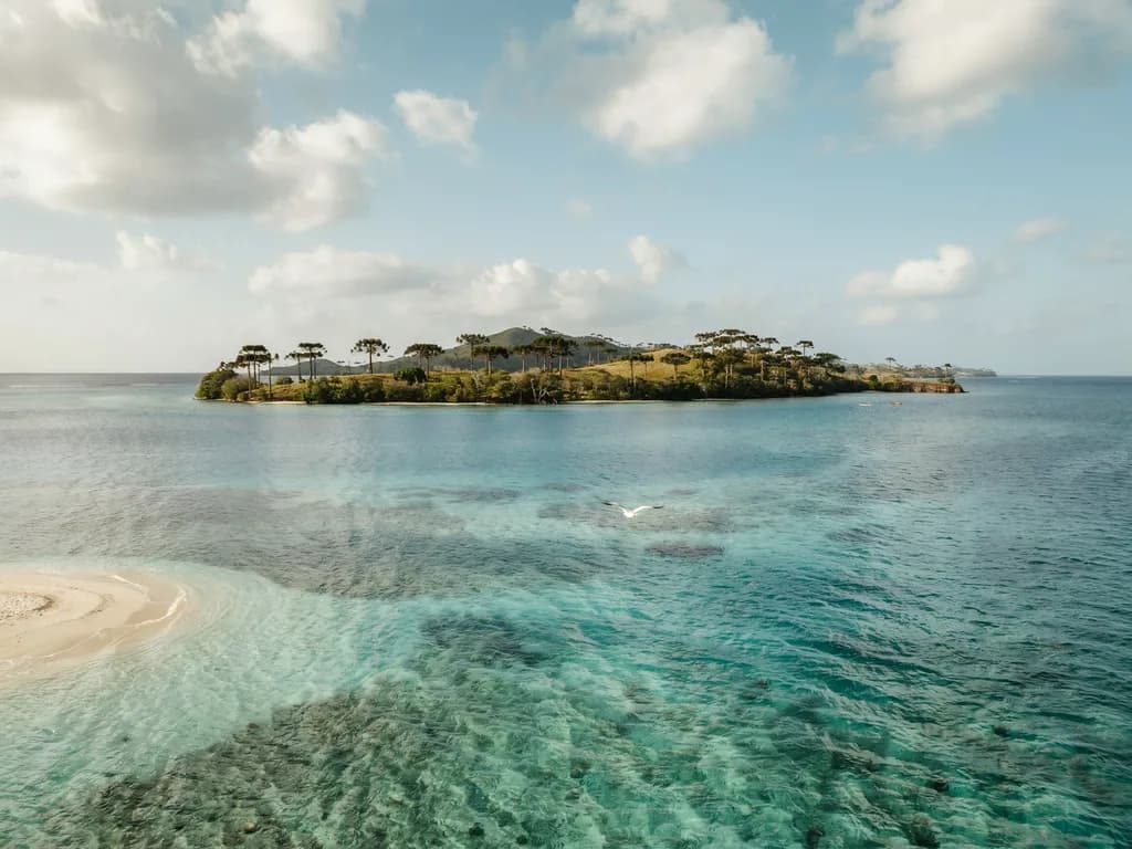 Nowa Kaledonia - laguna i sosny na Île des Pins