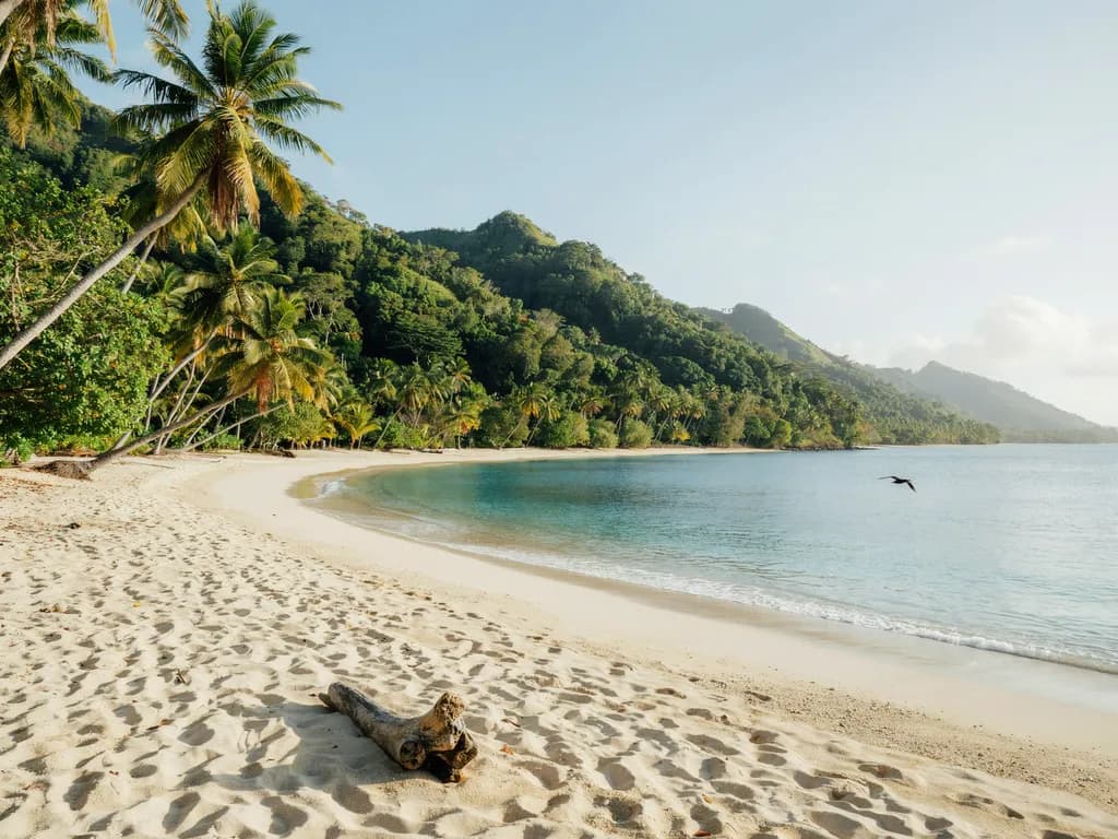 Vanuatu - plaża Champagne